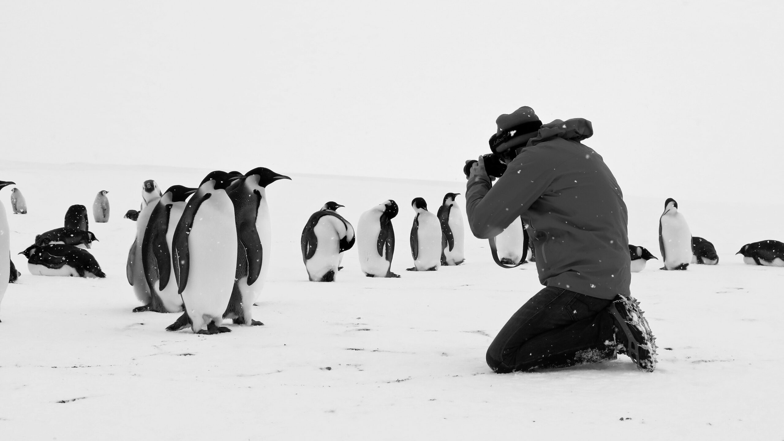 Antarctica Calling