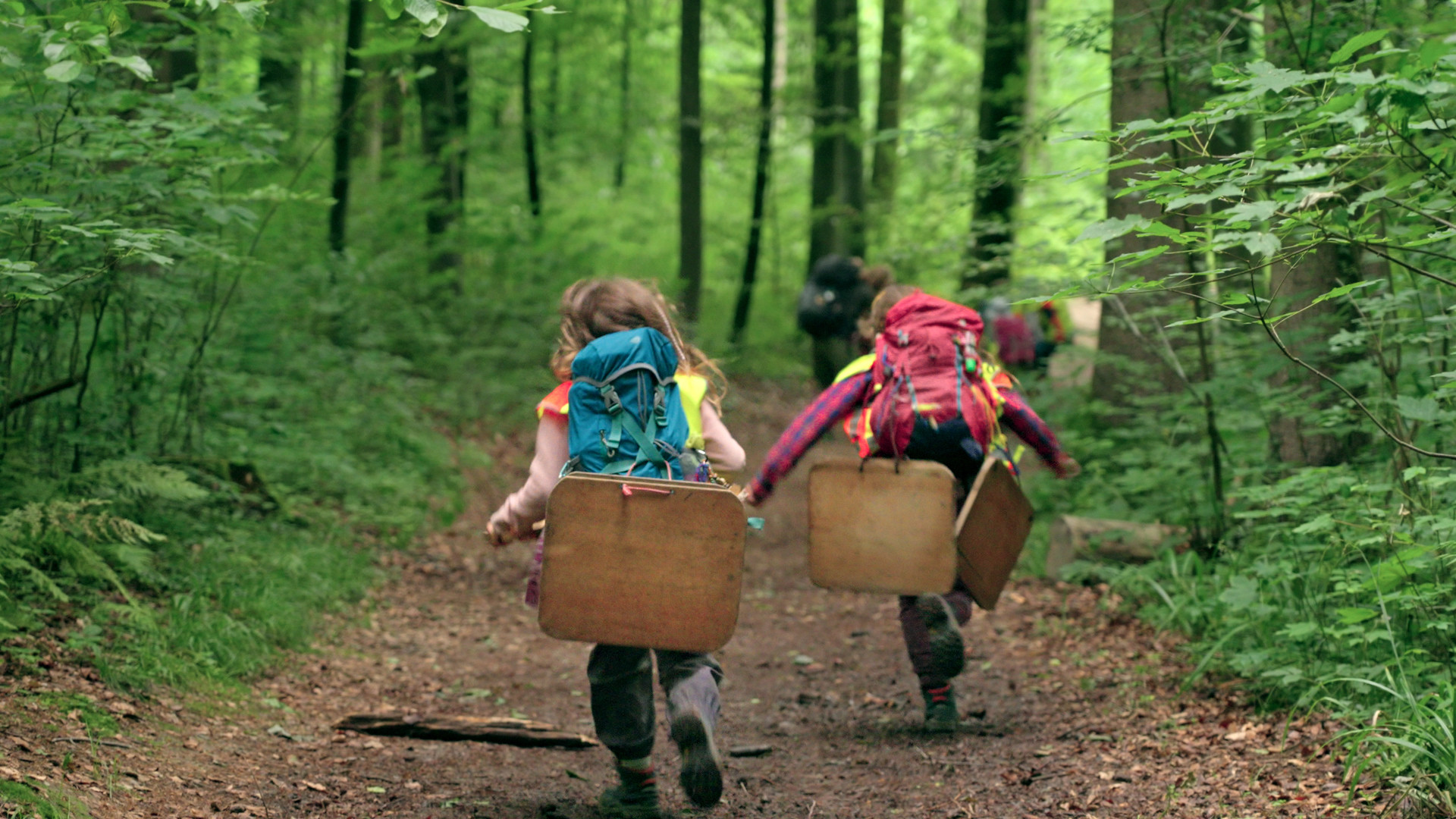 Von Kindern und Bäumen – Ein Jahr in der Waldschule