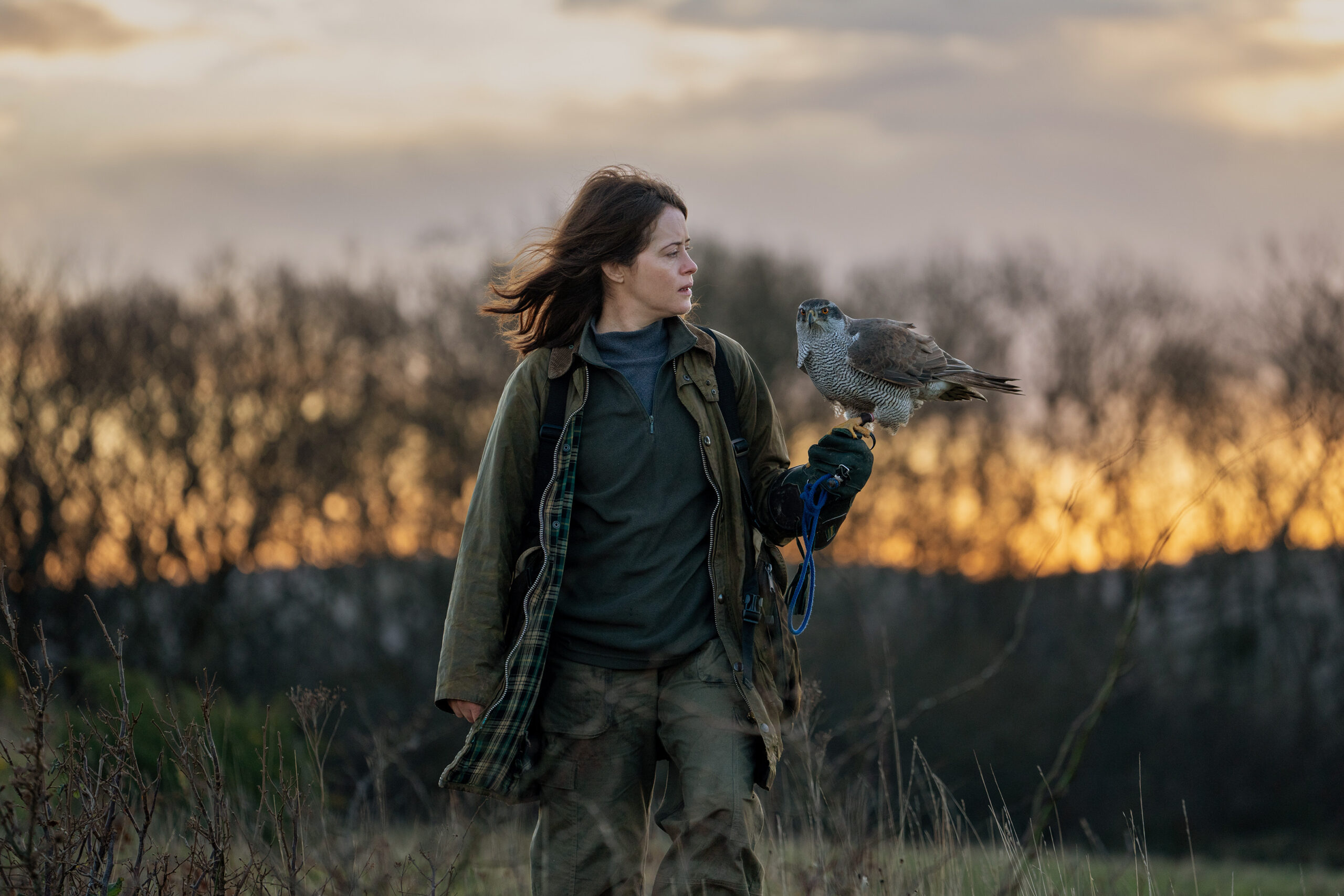 Ladies Night – H is for Hawk